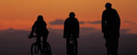 Bicyclist Advocacy