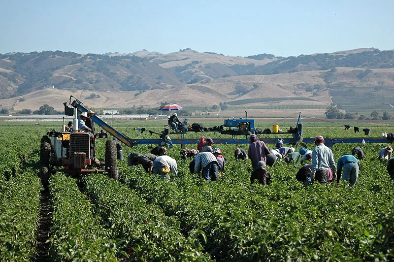 California Workers' Comp Ruling