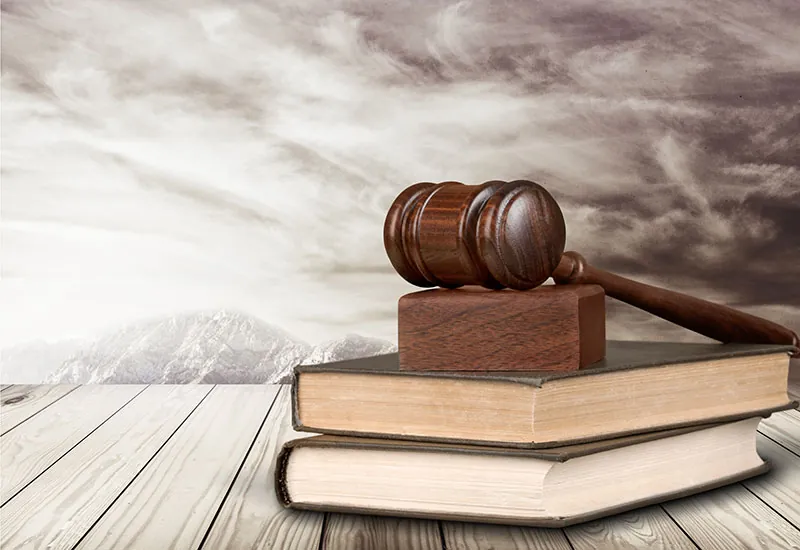 Workers Compensation and Immigration Status